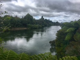 Waikato River, Hamilton