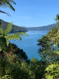 Kerry overlooking Endeavour Inlet